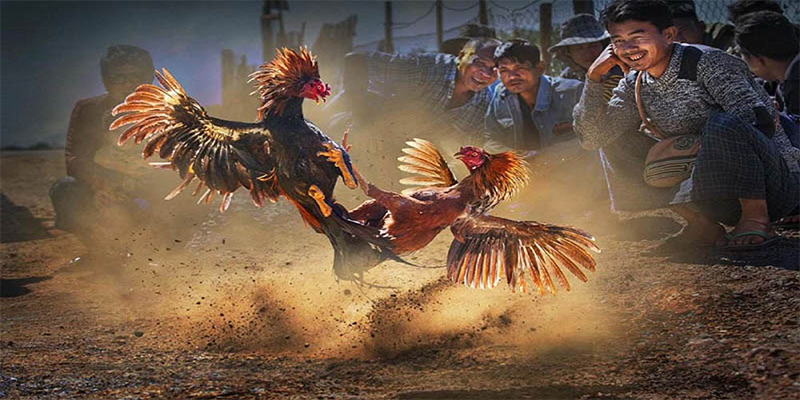 97vn chơi bắn cá đổi thưởng