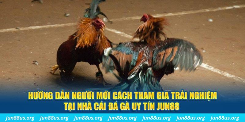 97vn CQ9 Điện Tử