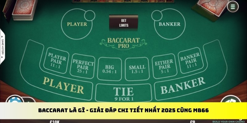 97vn gà chọi cu cần