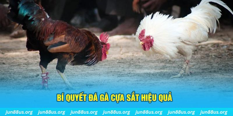 97vn xin 1 slot là gì