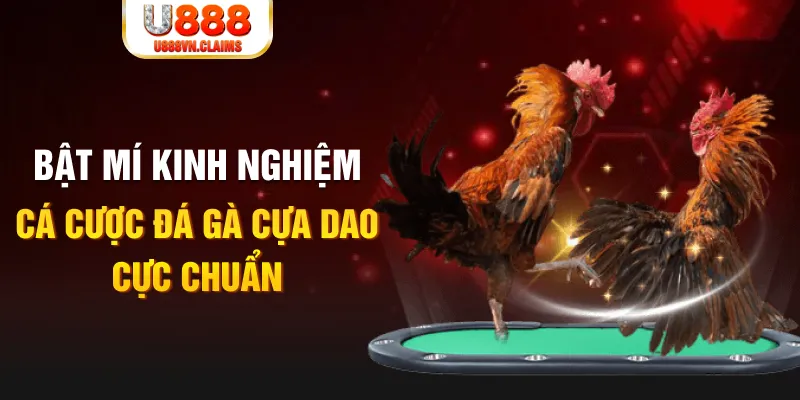 97vn tỷ lệ cá cược châu á là gì