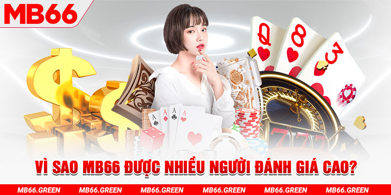97vn đá gà