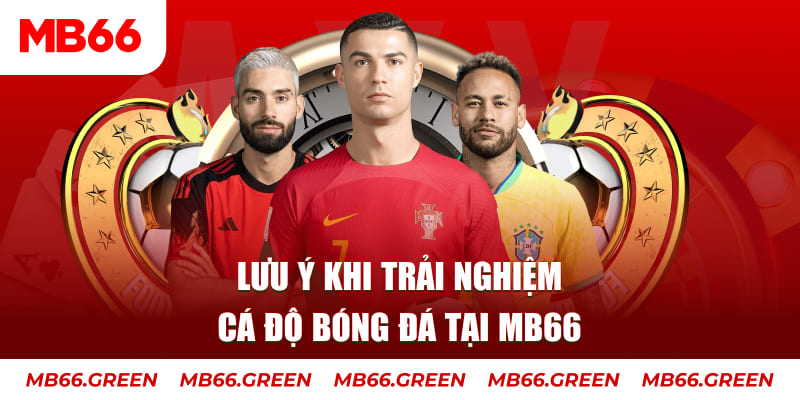 97vn cá cược là gì