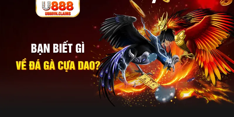 97vn nổ hủ là gì