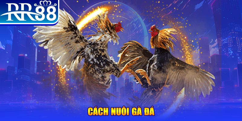 97vn xổ số an giang
