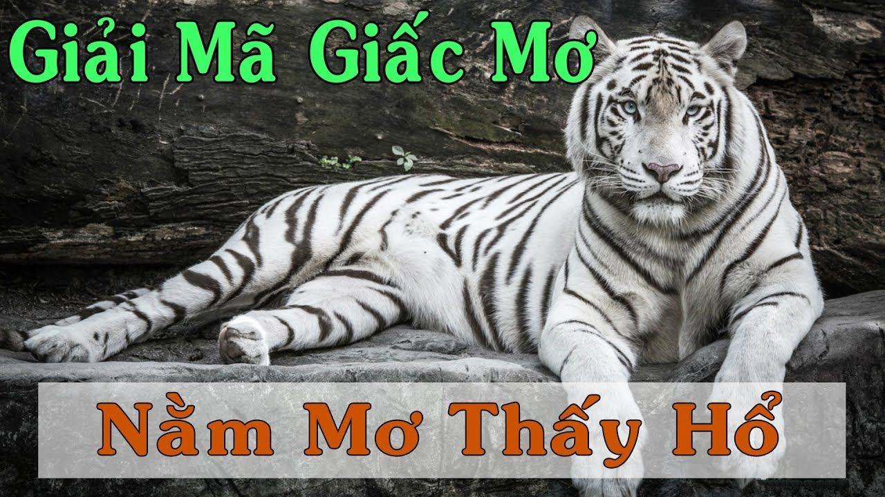 97vn WM Trực Tuyến