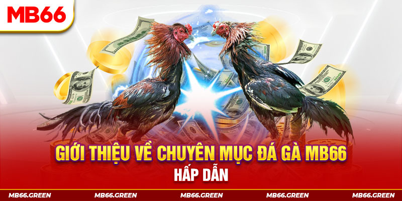 97vn đăng nhập sòng bạc đổi thưởng