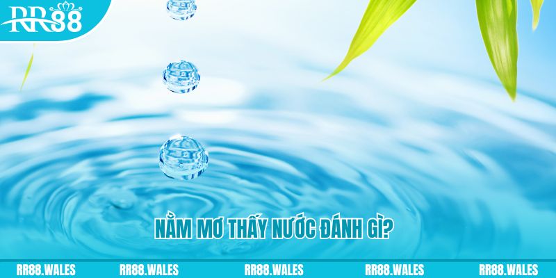 97vn TP Bắn cá