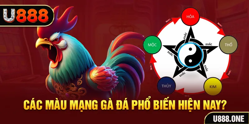97vn trực tiếp đá gà 88