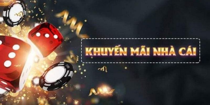 97vn what is live dealer casino