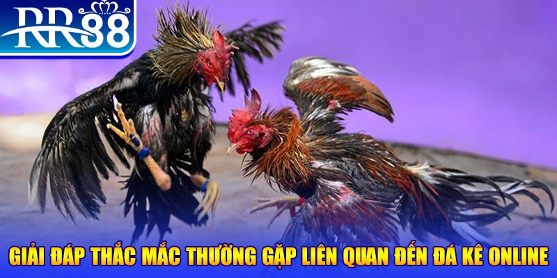 97vn xổ số đà lạt