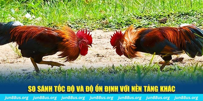 97vn đá gà hôm nay