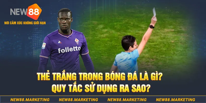 97vn gà chọi mộc hóa