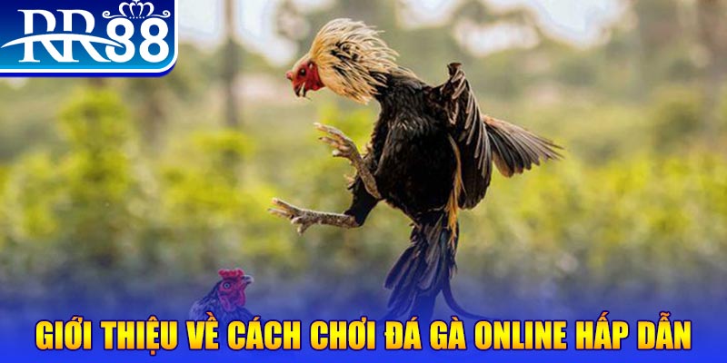 97vn game nổ hũ rút tiền mặt là gì