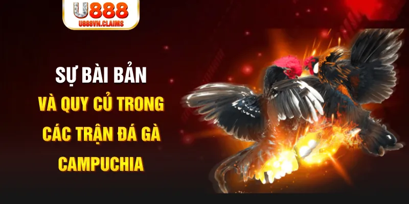 97vn YGR Điện Tử