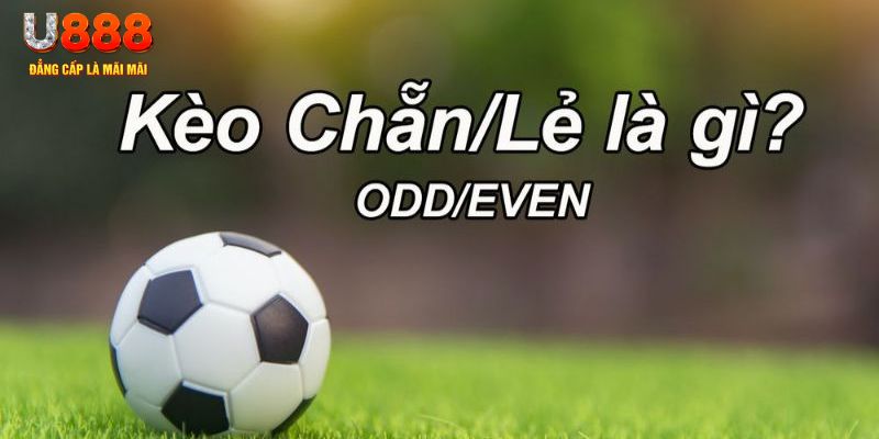 97vn đăng nhập poker hôm nay