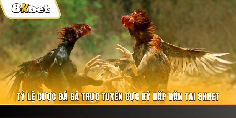 97vn xổ số trực tiếp miền bắc