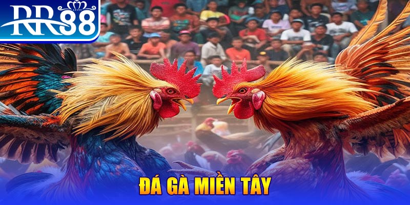 97vn đăng nhập nổ hũ