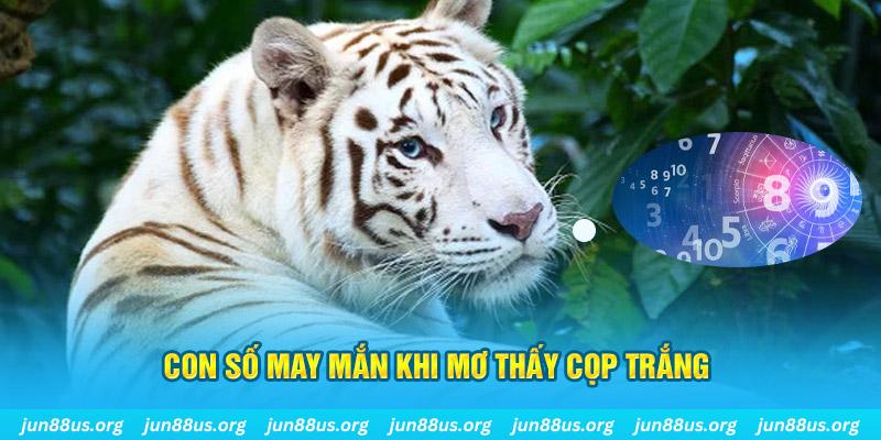 97vn đá gà trực tiếp 88